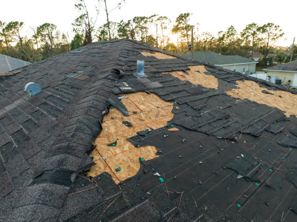 Best Steel Roofing  in Huntington, TX
